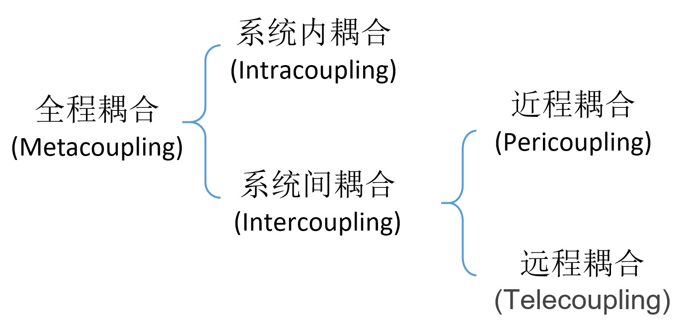 metacoupling types